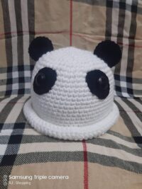 آيس كاب باندا