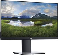 Dell 22 Monitor - P2219H